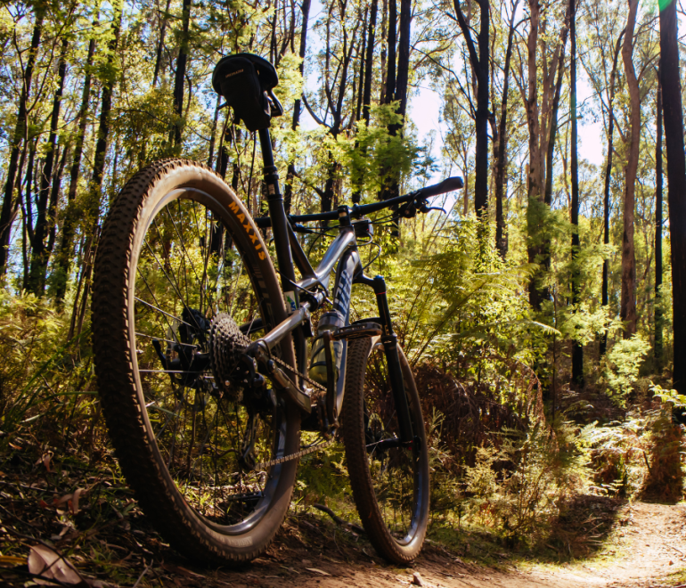 Vélo de montagne