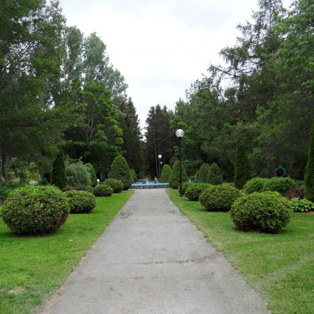 Travaux d’abattage d’arbres au parc Lepage Travaux d’abattage d’arbres au parc Lepage
