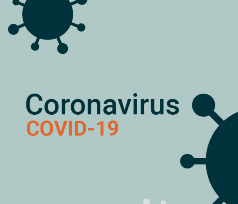 Coronavirus : retour des séances du conseil municipal en mode virtuel