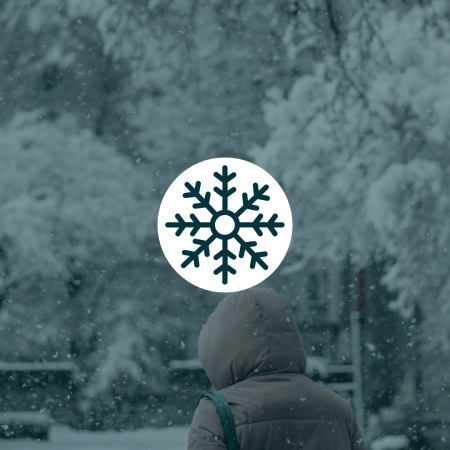 Mise à jour - Tempête hivernale : réouverture des bâtiments et reprise des activités le mercredi 19 février Mise à jour - Tempête hivernale : réouverture des bâtiments et reprise des activités le mercredi 19 février