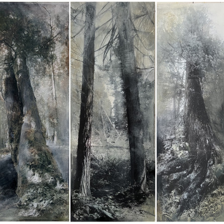 Traverser le silence, une exposition de Mona Massé à la galerie d’art Léonard-Parent