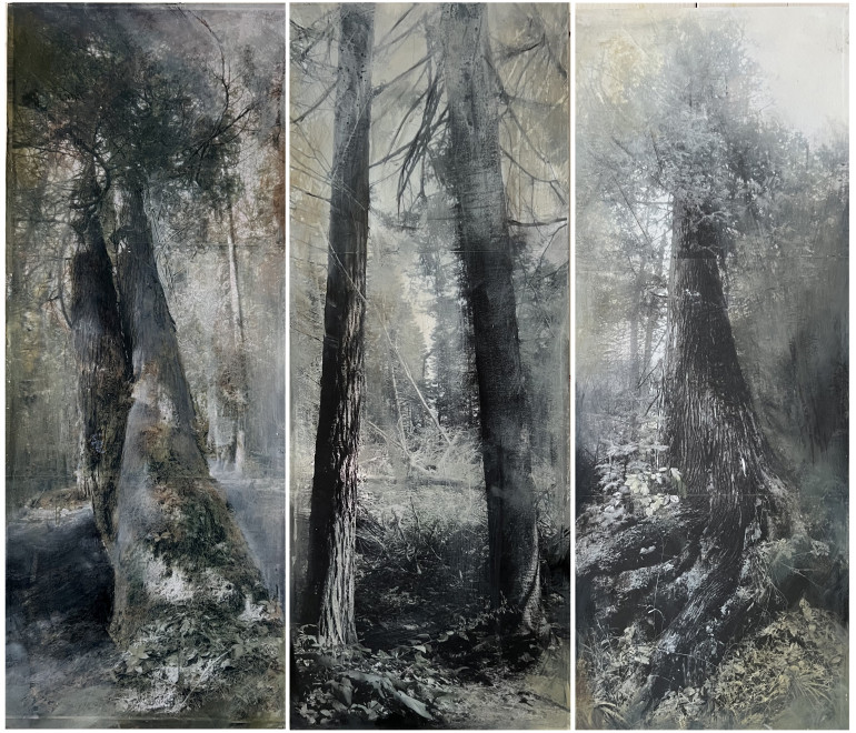 Traverser le silence, une exposition de Mona Massé à la galerie d’art Léonard-Parent